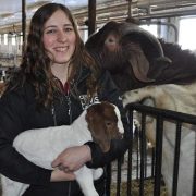 Ferme Syldia | Faire connaitre la chèvre de boucherie