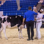 Expo de Trois-Rivières 2021 : Félicitations à nos membres !