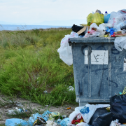 Le danger de l’écoblanchiment