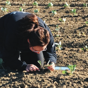 Prévention et précision : vers une agriculture durable raisonnée