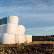 Que devons-nous contrôler pour réussir un ensilage de haute qualité ?