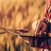 Pourquoi l’agriculture de précision mène à une agriculture durable ?