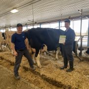 Ferme Top au ROP des performances laitières